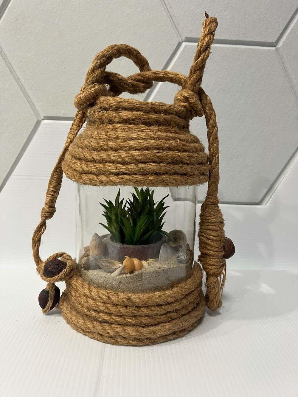 76 Terrarium Zen ideas in 2026